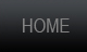 Home Button